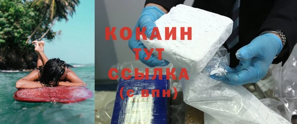 прущие крисы Бородино