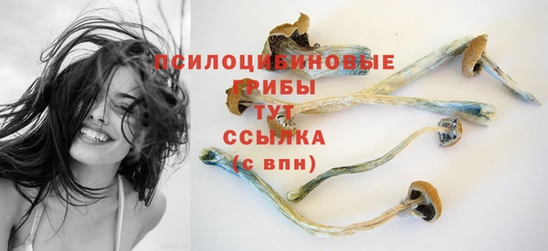 a pvp Бугульма