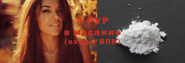 прущие крисы Бородино