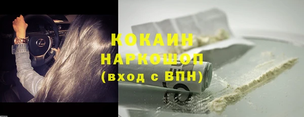 прущие крисы Бородино
