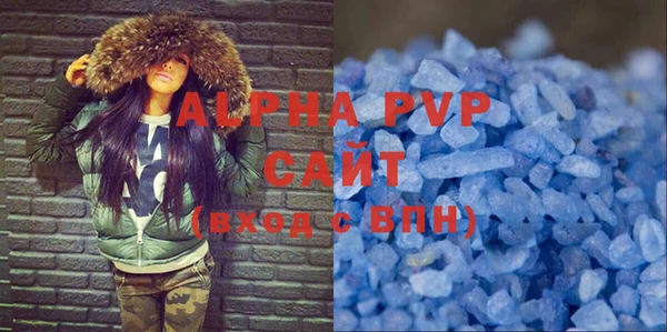 прущие крисы Бородино