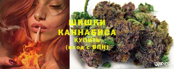 прущие крисы Бородино