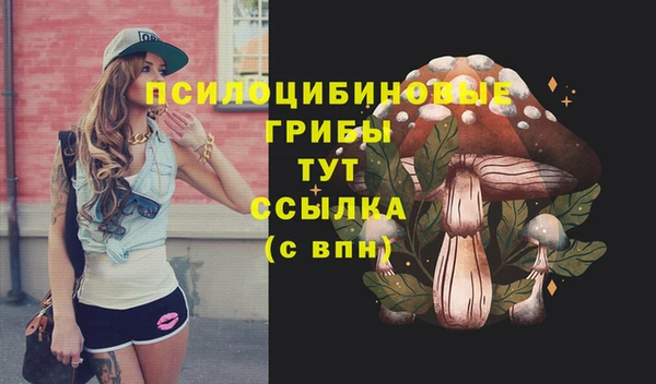прущие крисы Бородино