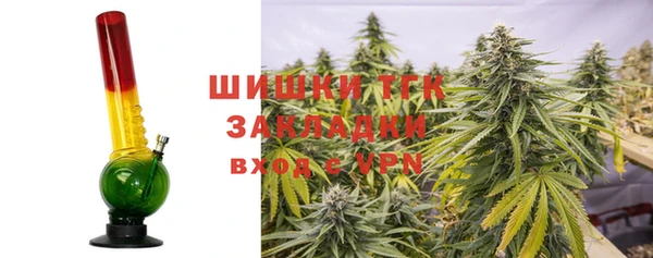 прущие крисы Бородино