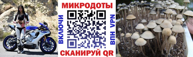 магазин  наркотиков  Мончегорск  Псилоцибиновые грибы ЛСД 